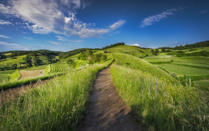 Customer Journey Phasen effektiv vorbereiten | Foto: