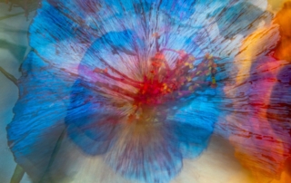 Feiertage 2027 in Deutschland, Österreich und der Schweiz | Titelfoto: Image by edith lüthi from Pixabay