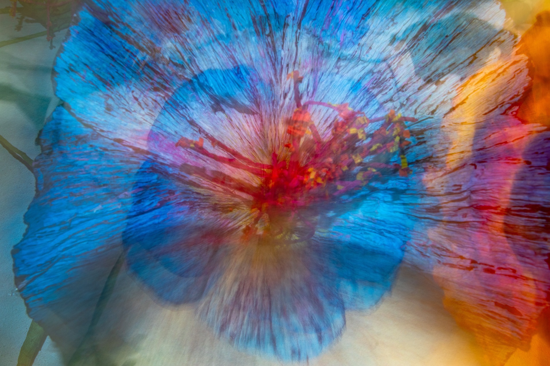 Feiertage 2027 in Deutschland, Österreich und der Schweiz | Titelfoto: Image by edith lüthi from Pixabay